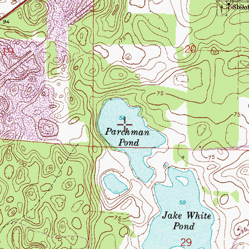 Topographic Map of Parchman Pond, FL