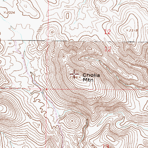 Topographic Map of Cholla Mountain, AZ