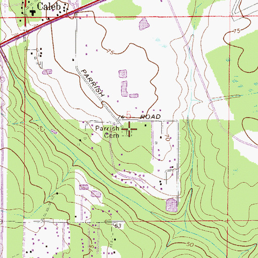 Topographic Map of Parrish Cemetery, FL