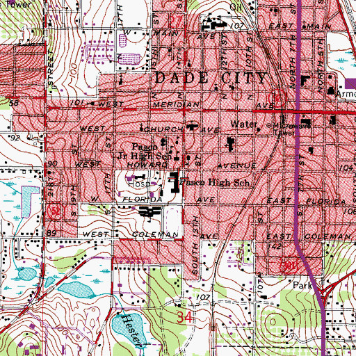 Topographic Map of Pasco Middle School, FL