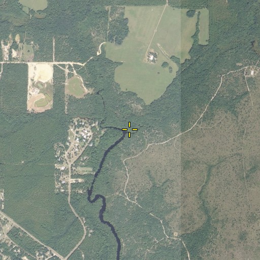 Aerial/Satellite Image of Pate Branch, FL
