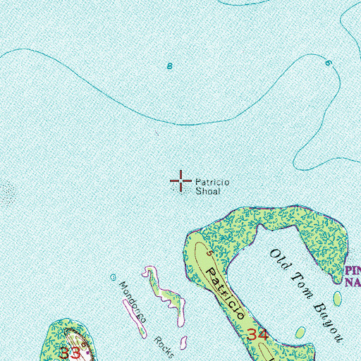 Topographic Map of Patricio Shoal, FL