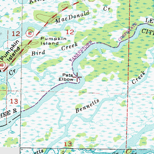 Topographic Map of Pats Elbow, FL
