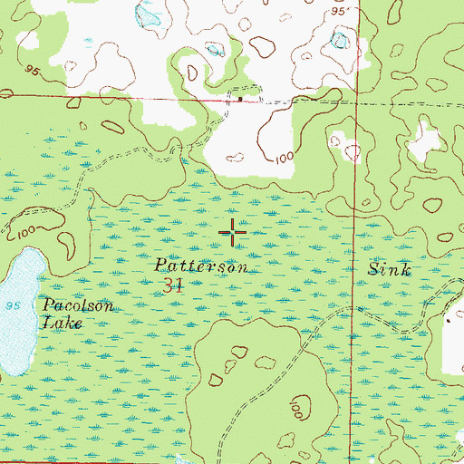 Topographic Map of Patterson Sink, FL