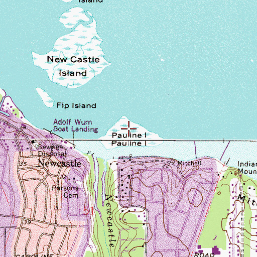 Topographic Map of Pauline Island, FL