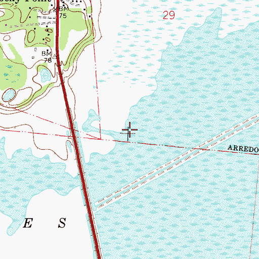 Topographic Map of Paynes Prairie, FL