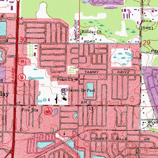 Topographic Map of Peace Church, FL