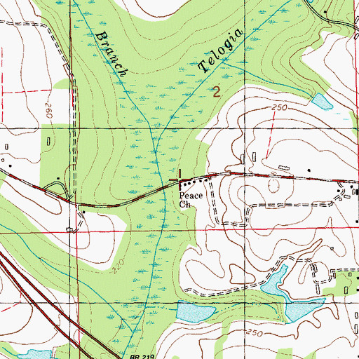 Topographic Map of Peace Church, FL