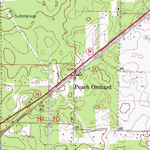 Topographic Map of Peach Orchard, FL