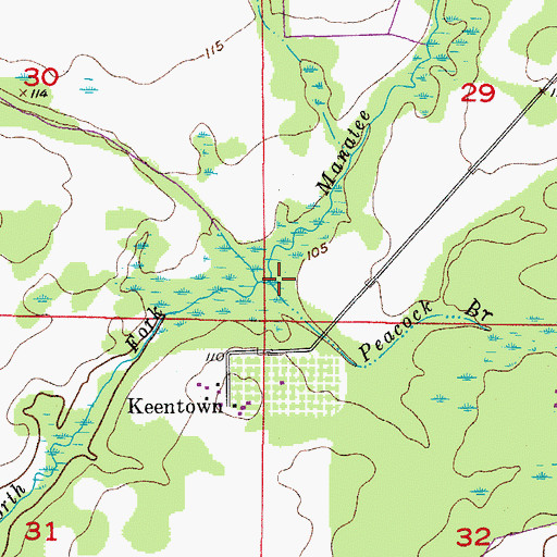 Topographic Map of Peacock Branch, FL