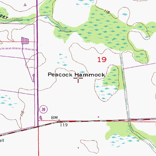 Topographic Map of Peacock Hammock, FL