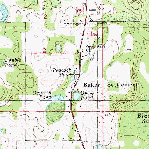 Topographic Map of Peacock Pond, FL