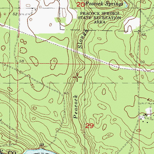 Topographic Map of Peacock Slough, FL