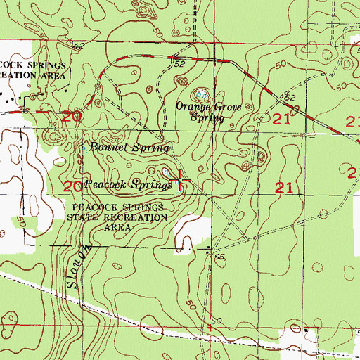 Topographic Map of Peacock Springs, FL