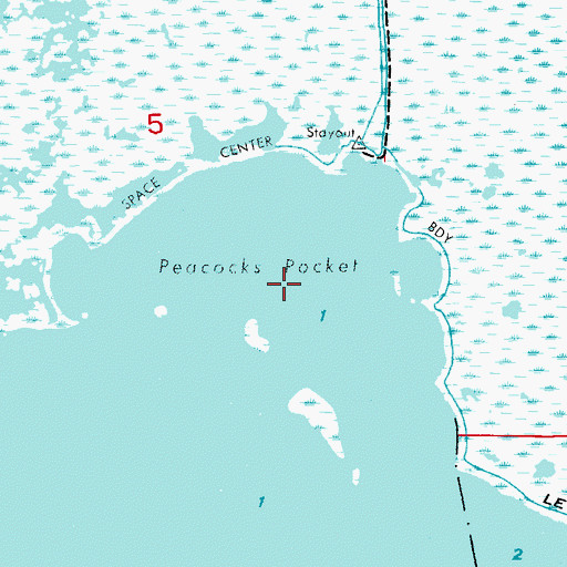 Topographic Map of Peacocks Pocket, FL