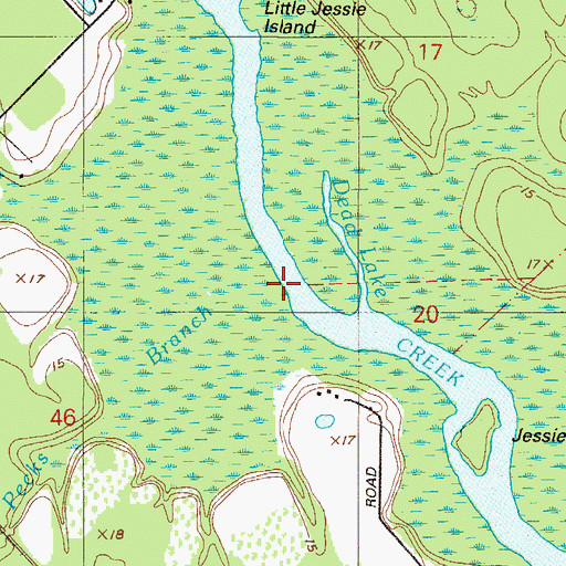 Topographic Map of Pecks Branch, FL