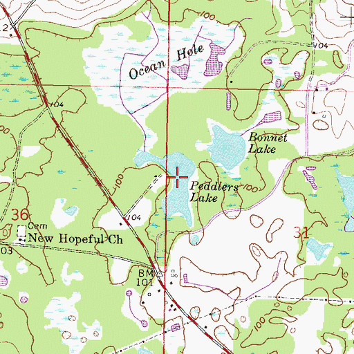 Topographic Map of Peddlers Lake, FL