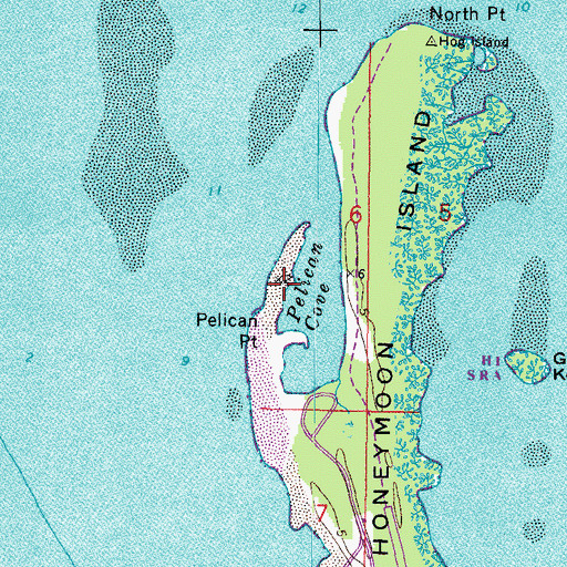 Topographic Map of Pelican Point, FL