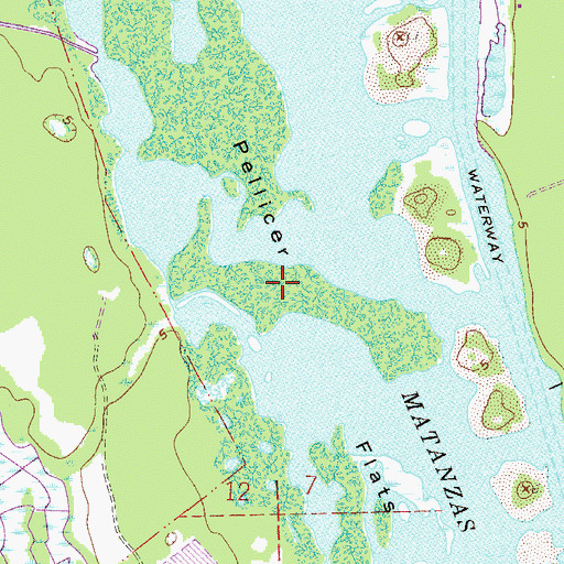 Topographic Map of Pellicer Flats, FL