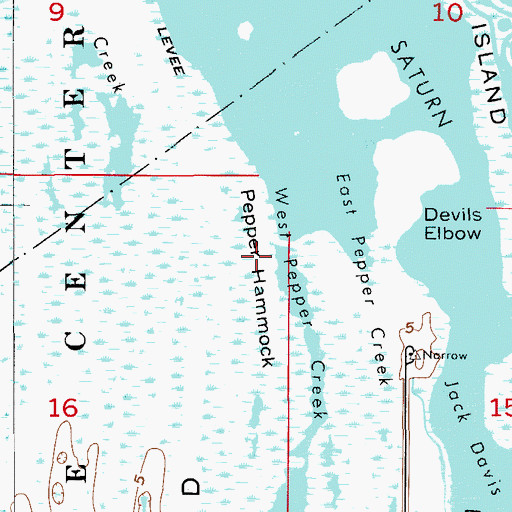 Topographic Map of Pepper Hammock, FL
