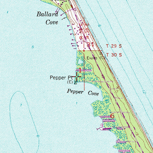 Topographic Map of Pepper Point, FL