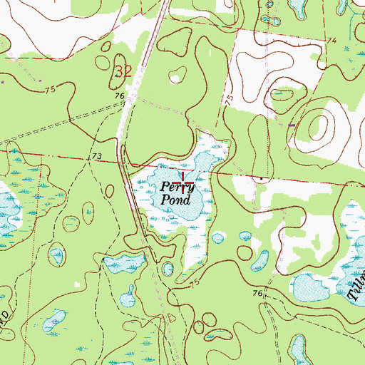 Topographic Map of Perry Pond, FL