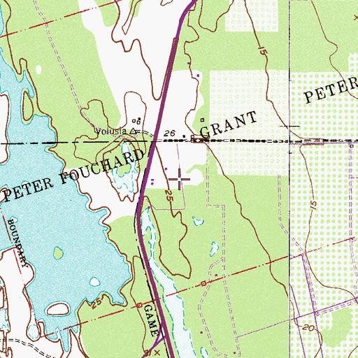 Topographic Map of Peter Fouchard Grant, FL