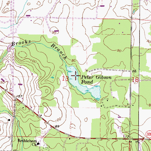 Topographic Map of Peter Gibson Pond, FL