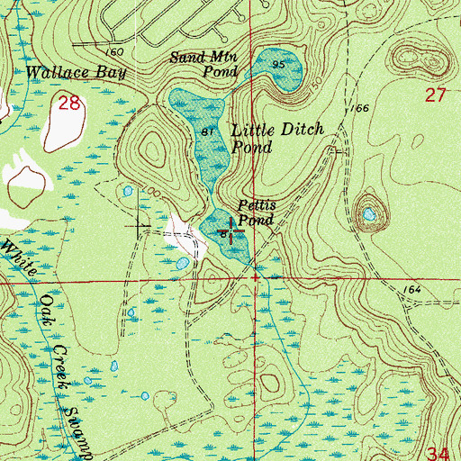 Topographic Map of Pettis Pond, FL