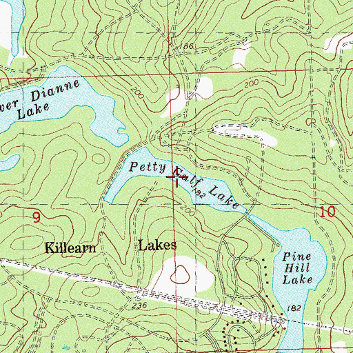Topographic Map of Petty Gulf Lake, FL