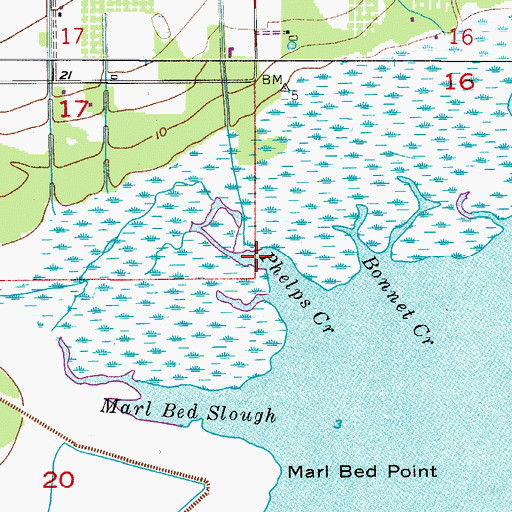 Topographic Map of Phelps Creek, FL