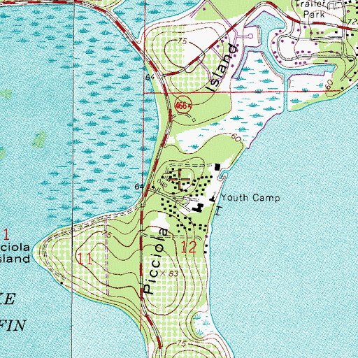 Topographic Map of Picciola Island, FL