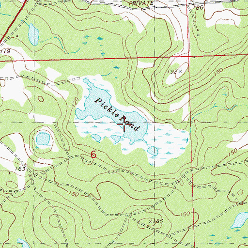 Topographic Map of Pickle Pond, FL