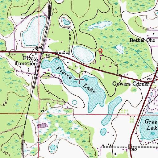Topographic Map of Pierce Lake, FL