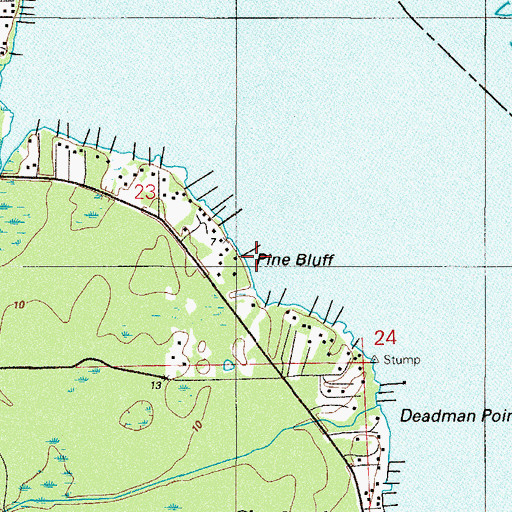 Topographic Map of Pine Bluff, FL