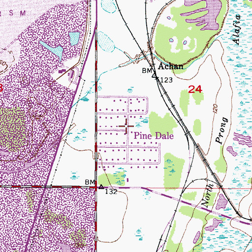 Topographic Map of Pine Dale, FL