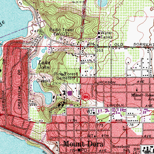 Topographic Map of Pine Forest Cemetery, FL