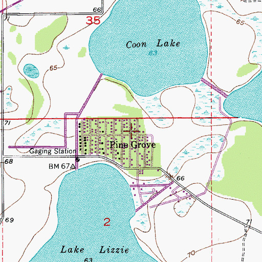 Topographic Map of Pine Grove, FL