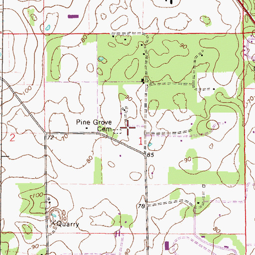 Topographic Map of Pine Grove Cemetery, FL
