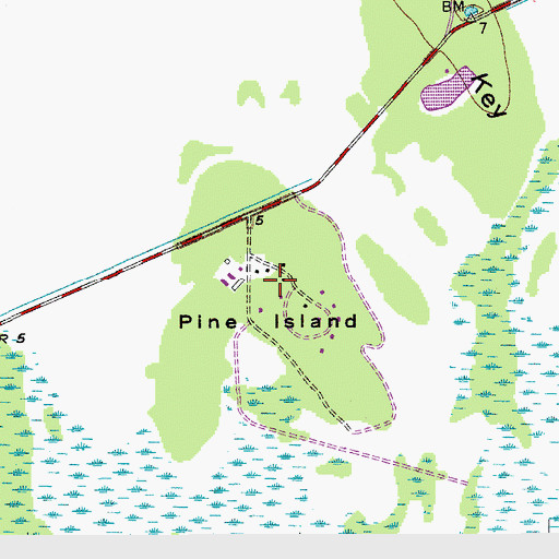 Topographic Map of Pine Island, FL