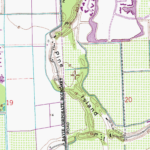 Topographic Map of Pine Island, FL