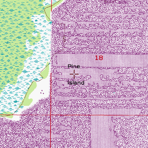 Topographic Map of Pine Island, FL
