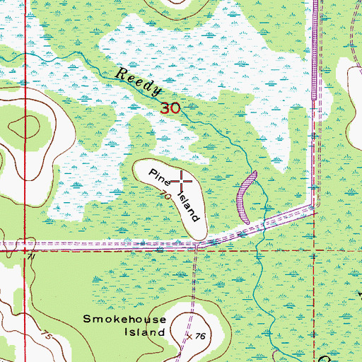 Topographic Map of Pine Island, FL