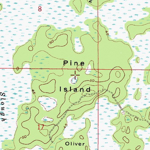 Topographic Map of Pine Island, FL