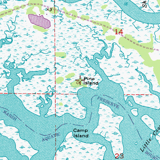 Topographic Map of Pine Island, FL