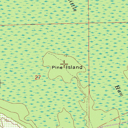 Topographic Map of Pine Island, FL