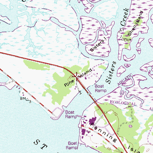 Topographic Map of Pine Island, FL