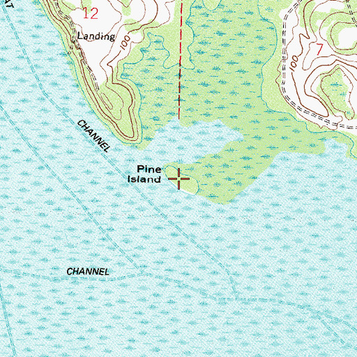 Topographic Map of Pine Island, FL