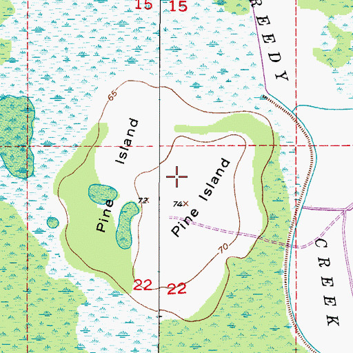 Topographic Map of Pine Island, FL
