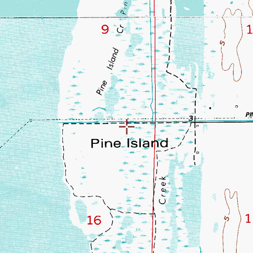Topographic Map of Pine Island, FL